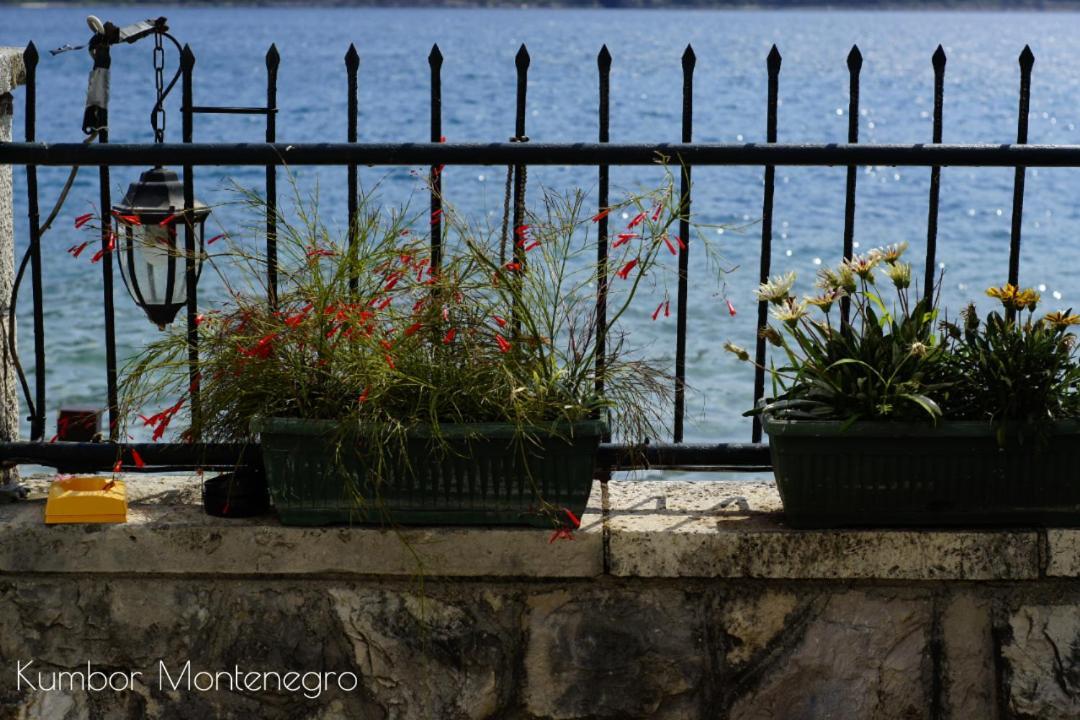 Apartments Batricevic Herceg Novi Esterno foto