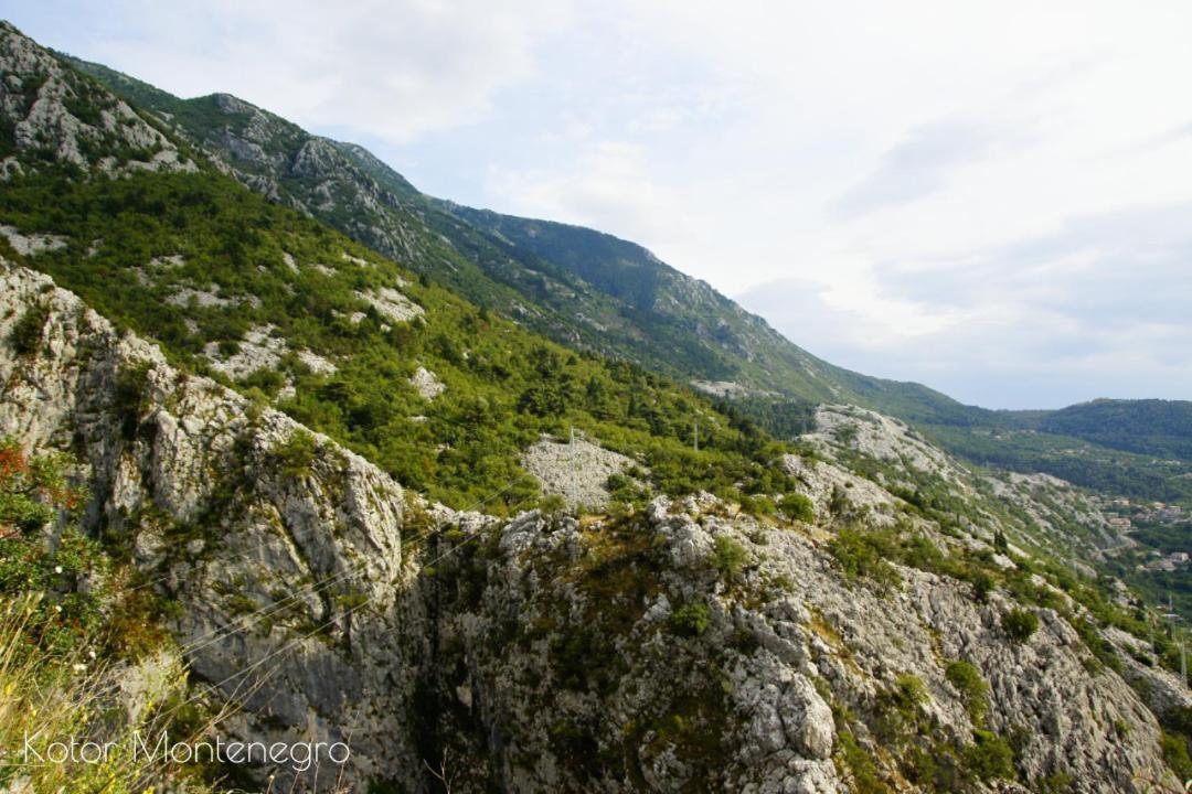 Apartments Batricevic Herceg Novi Esterno foto